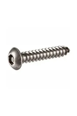 10AB x 3/4" Security Sheet Metal Screw - Button Hex Socket Head - Steel - Black Oxide - 100 Pk Premium