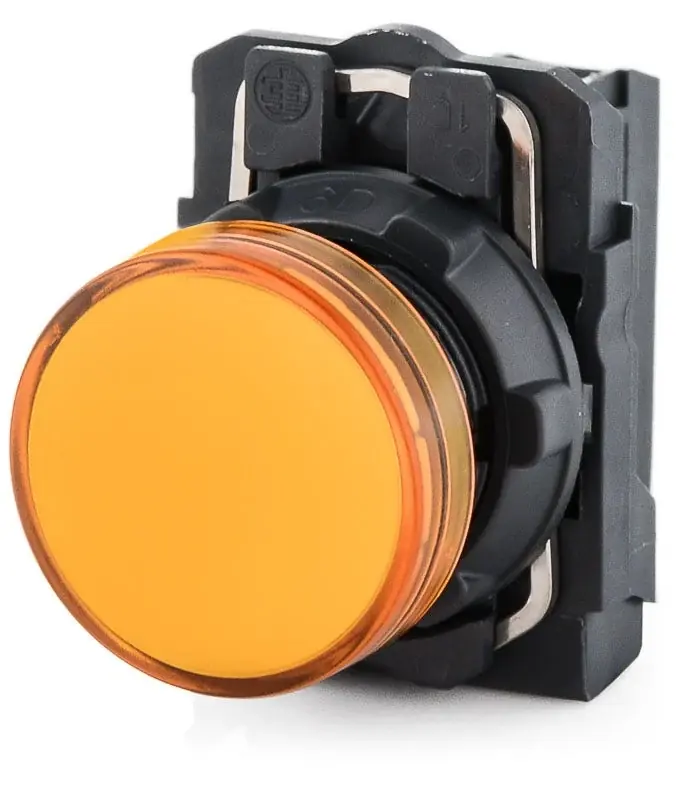 Square D XB5AVG5 Pilot Light Buy Online