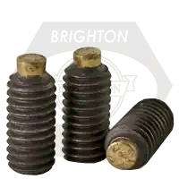 Secure Checkout 6-32 x 5/16" Socket Set Screws, Brass-Tip, Plain Finish, Coarse (UNC), Alloy Steel, Qty 100