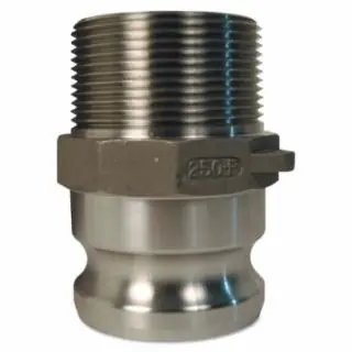 Flash Sale Dixon Valve G100-F-SS 1" Stainless Global Malenpt X
