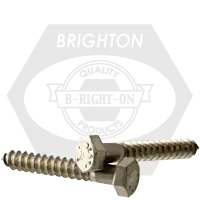 Order Now 5/16"-9 x 5 1/2" Hex Lag Screws, 316 Stainless Steel, Qty 50