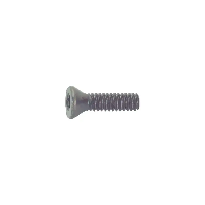 Price Cut CARMEX - S-6, Torx® Screw, S-6