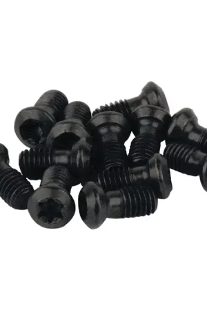 Price Cut AKUMA - AKX-40, Torx® Screw, 01.19.00007