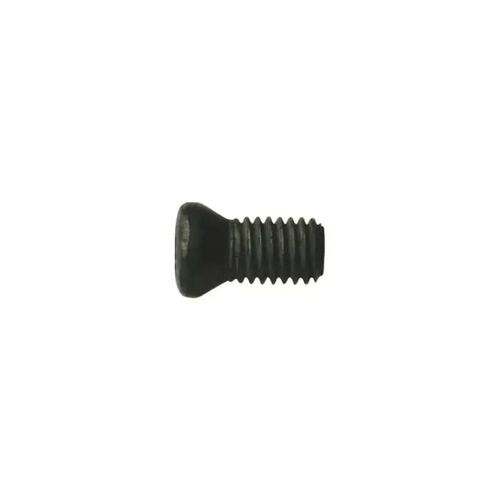 WALTER - FS1453, Torx® Screw, 5039025 Weekend Sale